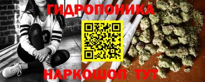 шишки Ликино-Дулёво